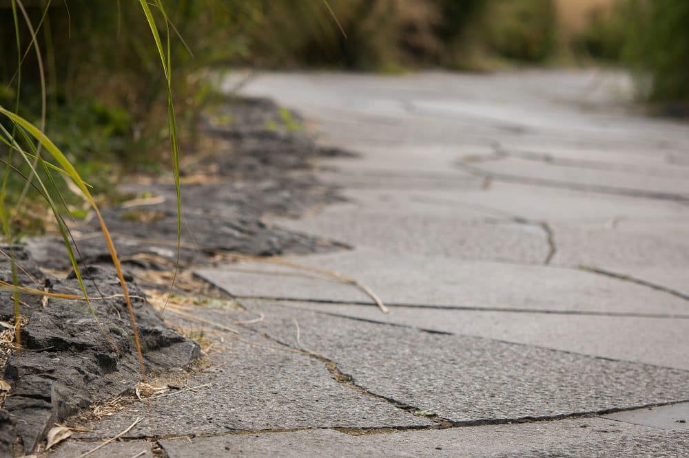 Belgian Blue Stone - Lille France (3)