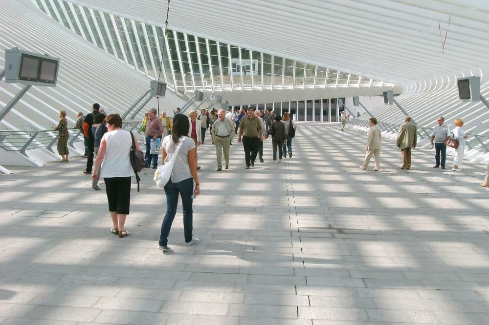 station van Luik-Guillemins - Belgische blauwe hardsteen