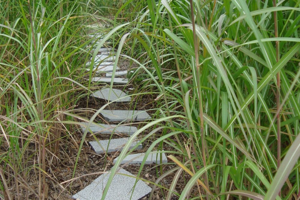 Jardin des Géants - Belgische blauwe hardsteen