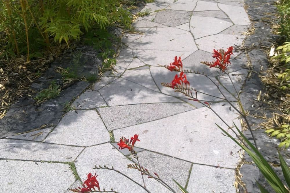 Jardin des Géants - Belgische blauwe hardsteen