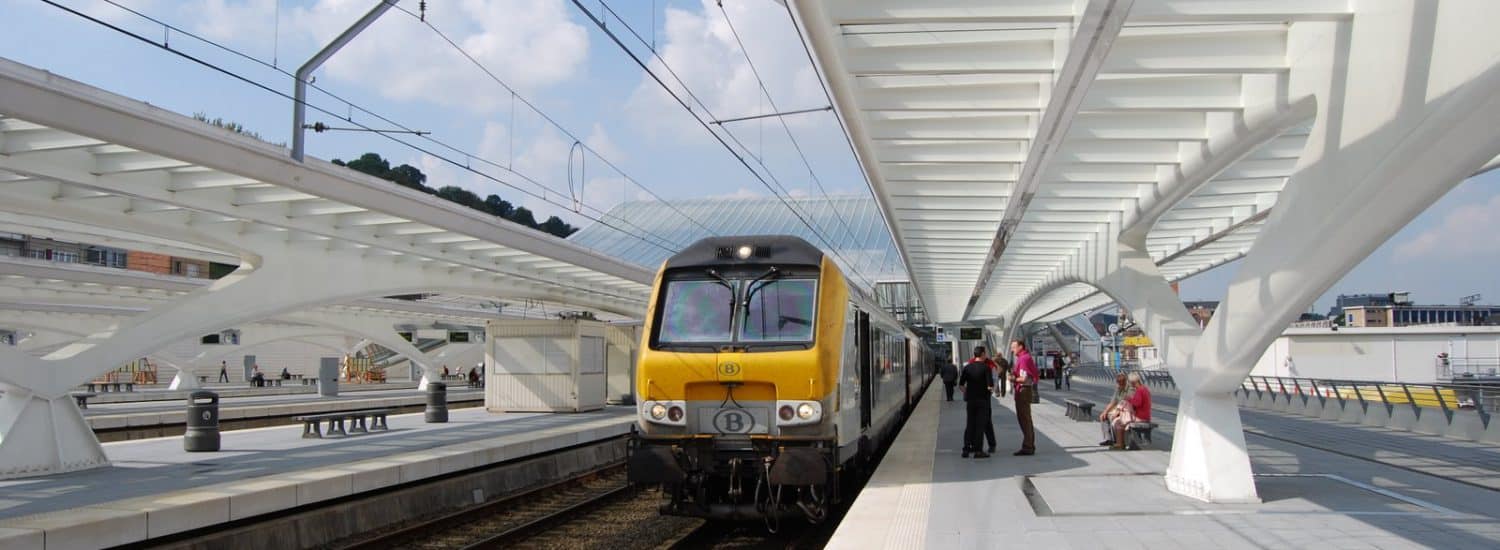 station van Luik-Guillemins - Belgische blauwe hardsteen