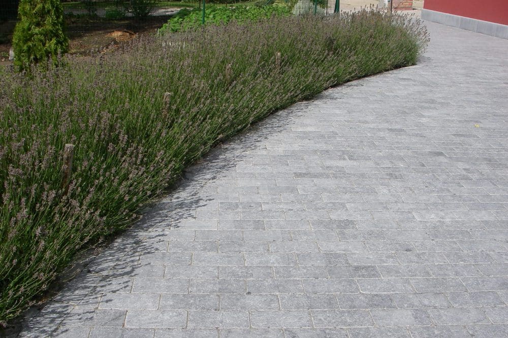 Patrimonium Plaveien