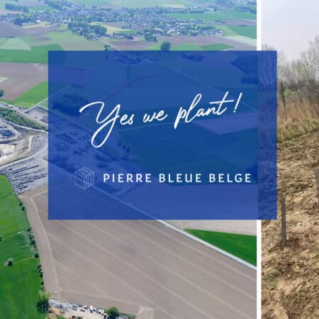 Yes we plant - Pierre Bleue Belge 1